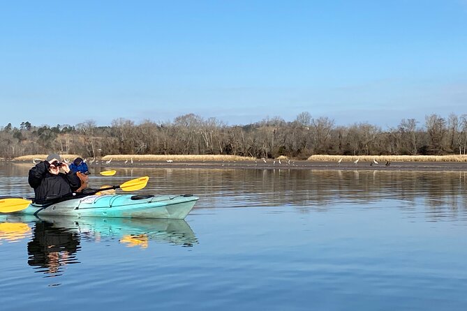 Sandhill Crane Kayak Tour With Chattanooga Guided Adventures - Meeting Location Details