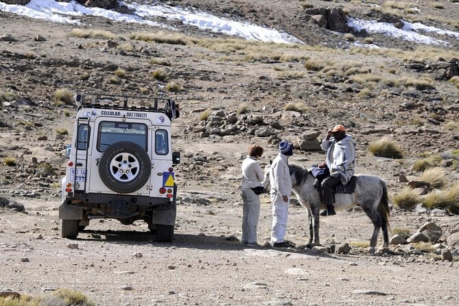 Sani Pass & Lesotho 4x4 Experience Day Tour From Durban - Pricing and Inclusions