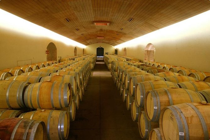 Santiago Super Saver: 2-Day City Sightseeing and Concha Y Toro Winery Tour - Views From Cerro San Cristóbal