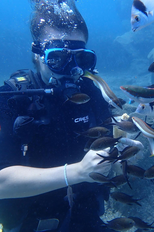 Santorini: Scuba Diving - Participant Restrictions