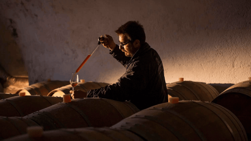 Santorini: Wine Tour With Museum Visit & 3 Wine Tastings - Important Details