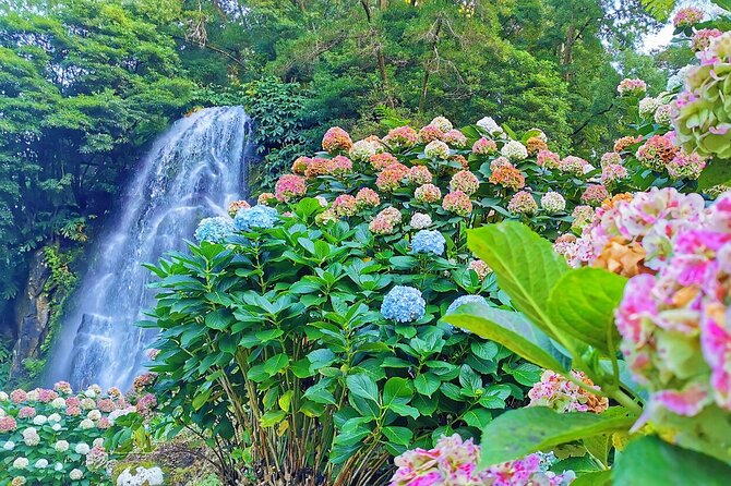 São Miguel, Azores - Private Tour 9 Hours in a 4-Seater Car Exclusively for You - Customer Feedback