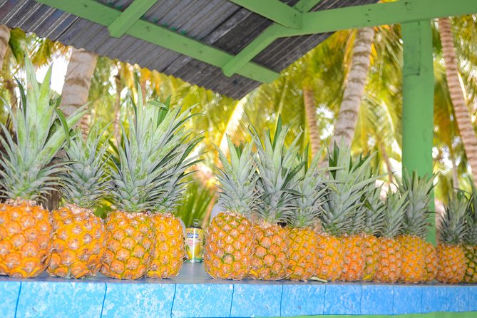 Saona Island Day Trip + Lobsters & Wine Included - Traveler Reviews
