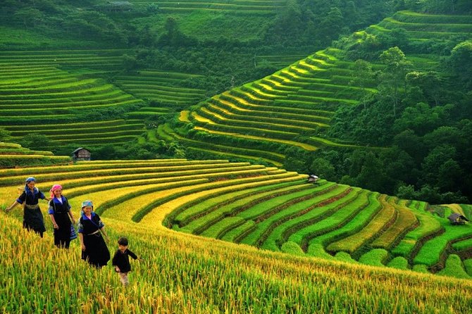 Sapa Private Tour 2 Days 1 Night - Tips for Travelers