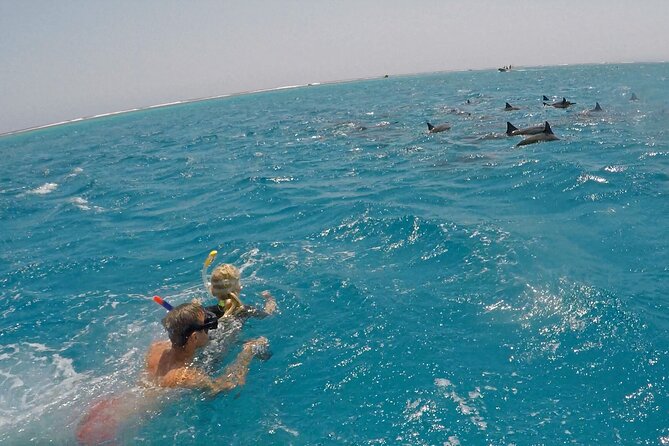 Sataya Dolphin House Snorkel Trip - Marsa Alam - Tips for a Great Experience