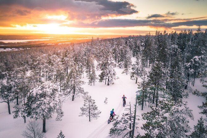 Scenic Electric Fat Bike Group Ride in Rovaniemi - Weather and Flexibility