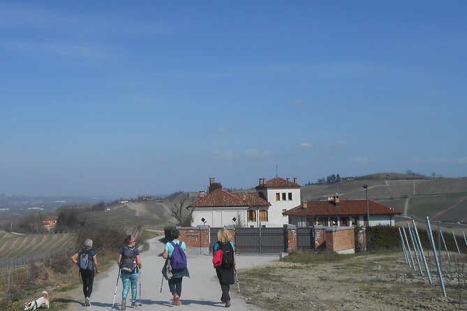 Scenic Langhe Hike and Wine Tasting From Alba  - Langhe-Roero and Monferrato - Tasting and Gourmet Specialties