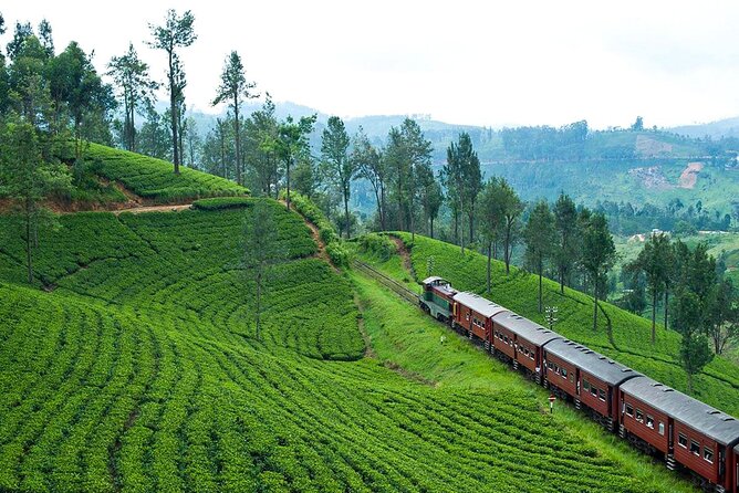 Scenic Train Ride to Ella From Kandy - Whats Not Included