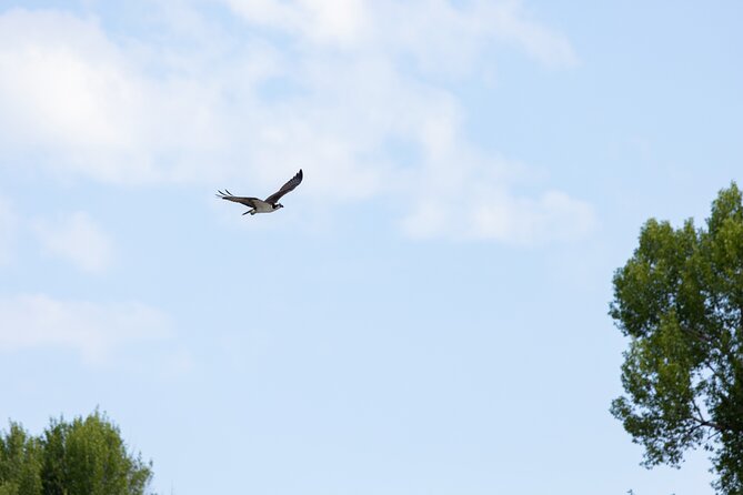 Scenic Wildlife Float Trip With Teton Views - Inclusions and What to Bring