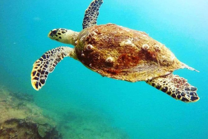 Scuba Diving in Mirissa - Customer Experience Highlights