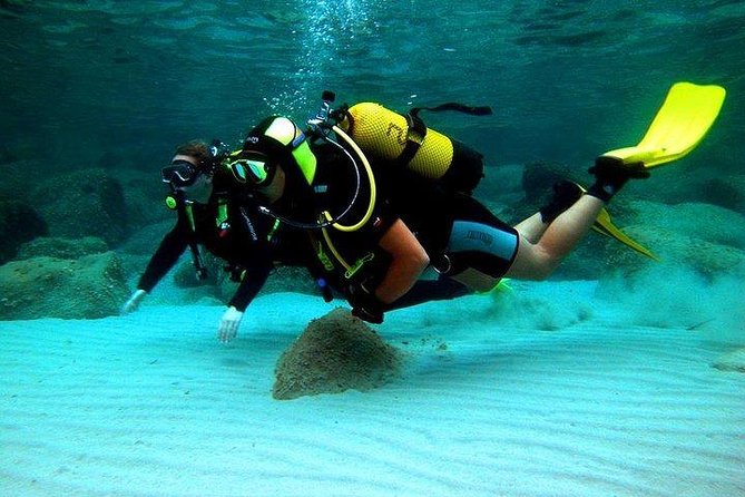 Scuba Diving in Rosario Islands - Experiencing the Marine Reserve