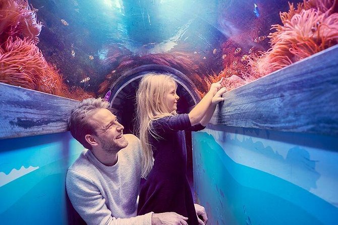 SEA LIFE Brighton Admission Ticket - Accessibility and Services