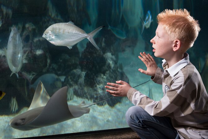 SEA LIFE Michigan Aquarium Admission Ticket - Educational Programs Offered