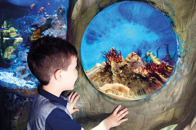 SEA LIFE Timmendorfer Strand Admission Ticket - Location and Getting There
