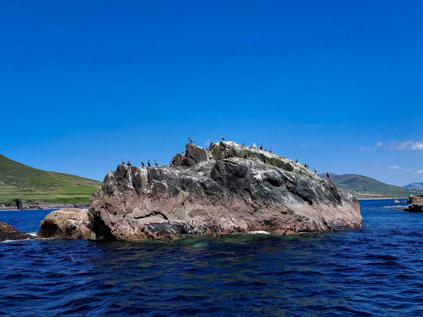 Sea Safari & Adventure : The Valentia Island Experience - Scenic Views