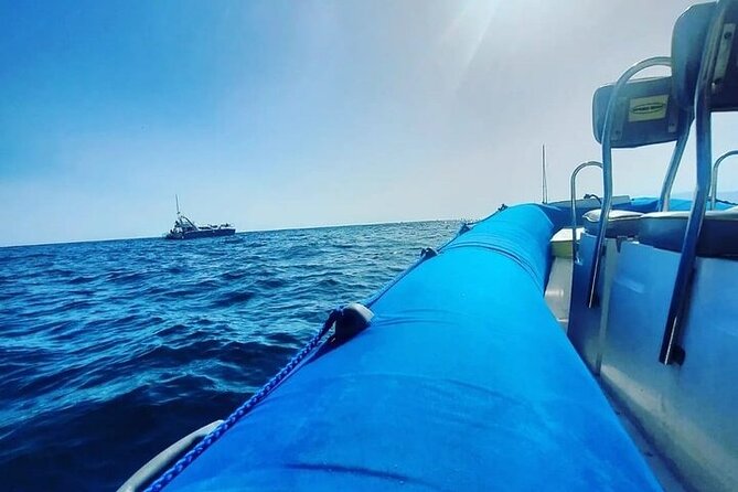 SEA SAFARI Dolphins,Whales, Snorkeling, Snack, Drink, 3h Private - Pricing and Cancellation Policy