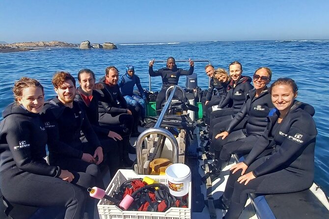 Seal Snorkeling Experience in Cape Town - Traveler Testimonials