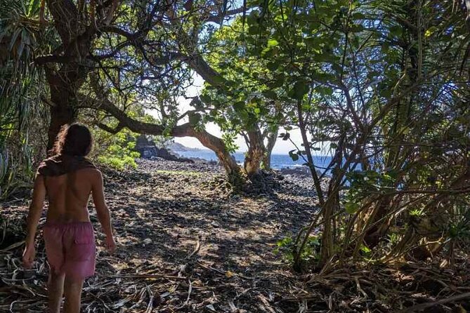 Secret Jungle Tide Pool - Short Hike - Private - Unique Features of the Tide Pool