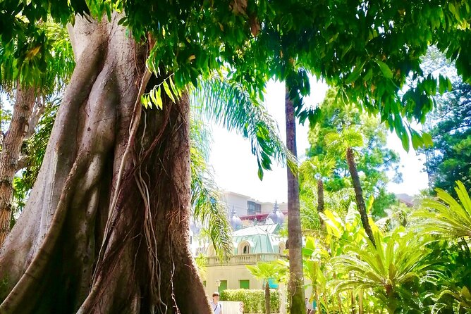 Secret Monaco : Hidden Gems, Art & Monumental Trees - Taking in Local Street Art