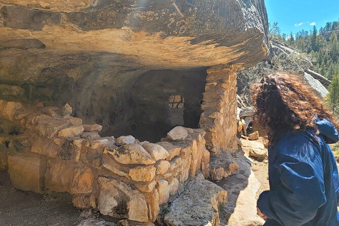 Sedona to Petrified Forest/Painted Desert Adventure PRIVATE TOUR! - Traveler Reviews