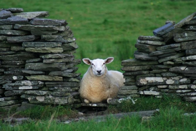 Self Guided Electric Bike Tour of Historical Sites in the Burren Co Clare - Caherconnell Stone Fort Visit