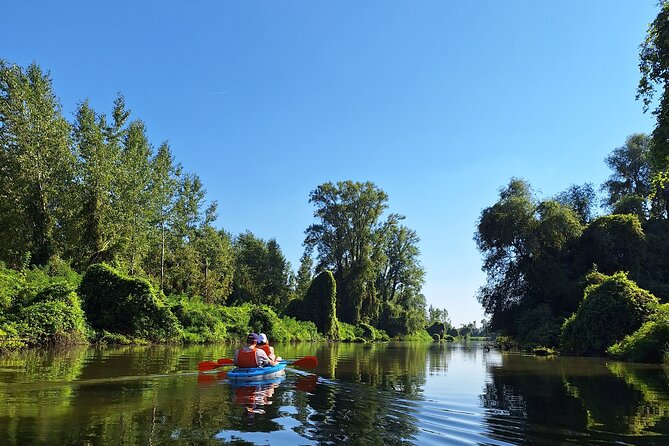 Self-Guided Kayak Tour in Belgrade - Booking Information and Cancellation Policy