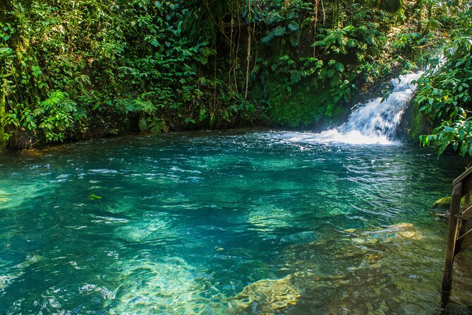 Sensoria Healing Thermals Paradise in Rincon De La Vieja - Nourishing Lunch Options