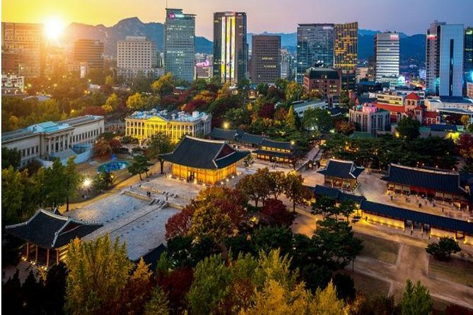 Seoul : Deoksugung Palace Half Day Walking Tour - Guide Experience and Insights
