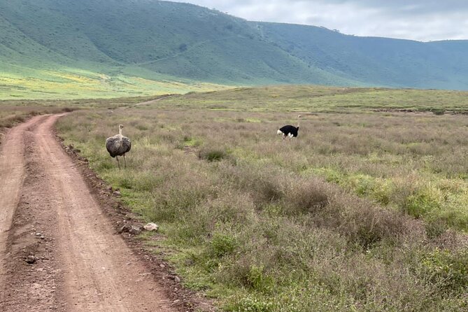 Serengeti and Ngorongoro Crater Private Lodge Tour (3 Days) - Booking Information