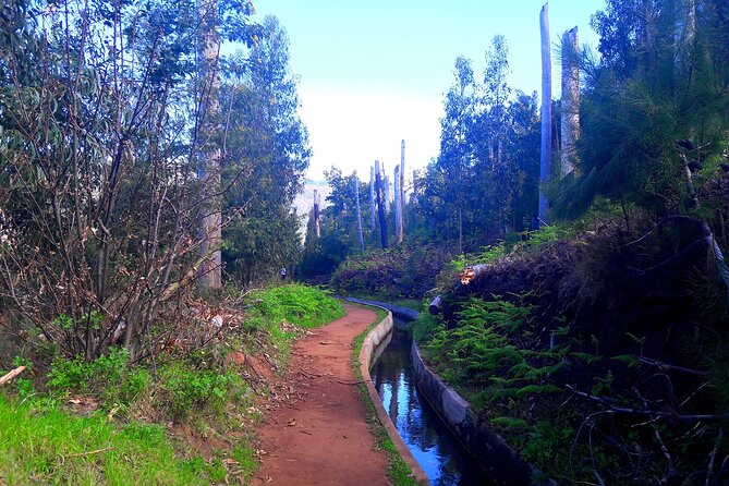 Serra D'Água Valley - Levada Walk - Customer Feedback Highlights