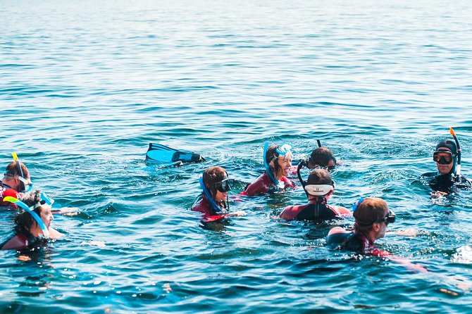Sesimbra Small-Group Snorkeling Tour  - Setubal District - Cancellation Policy