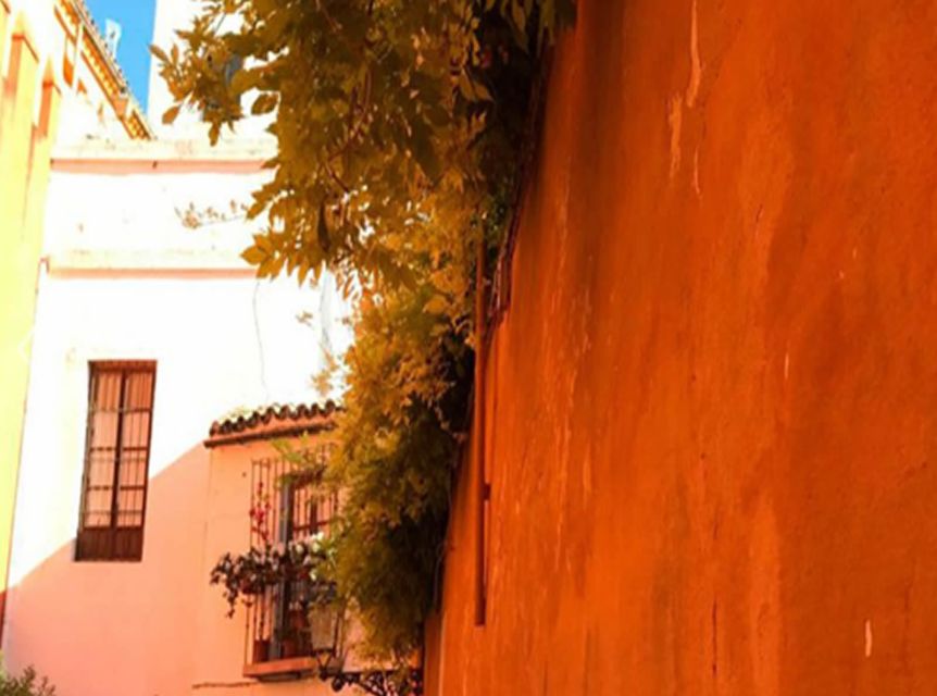 Seville: 1-Hour Walking Tour Barrio De Santa Cruz - Customer Reviews and Ratings