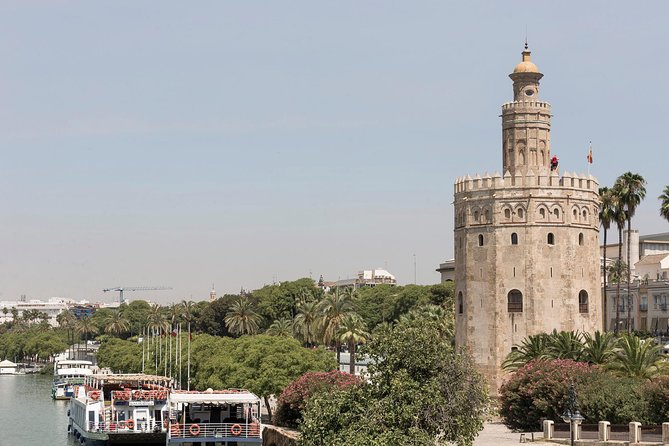 Seville Full Day Trip With Cathedral From Costa Del Sol - Participant Feedback and Insights