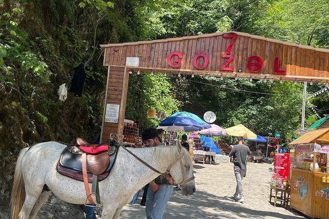 Shamakhi-Gabala Group Tour With Included Tickets - Key Attractions Explored