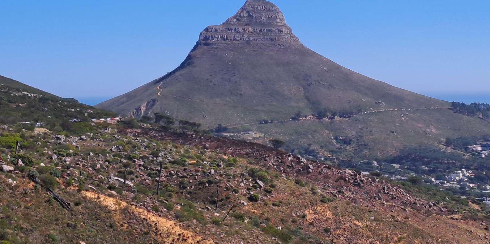 Shared and Scheduled Table Mountain Cable Car Tour - Meeting Point and Directions