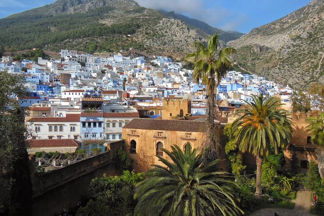 Shared Group Chefchaouen Day Trip From Fez - Affordable Pricing Options