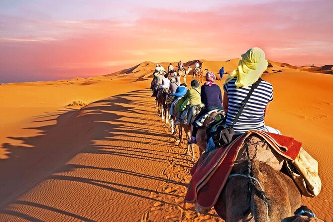 Shared Group Fez to Fez Sahara Tour 2days/1night - Travel Experience