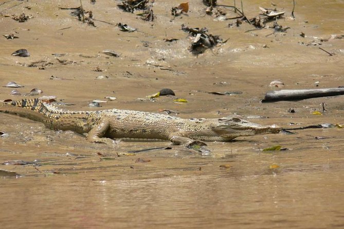 Shared Mangrove & Irrawaddy Dolphin Watching Cruise - Booking and Cancellation Policy
