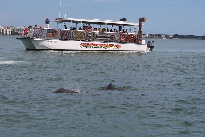 Shark Teeth and Shells, Dolphin and Shelling Tour Boat Clearwater Beach - Positive Experiences