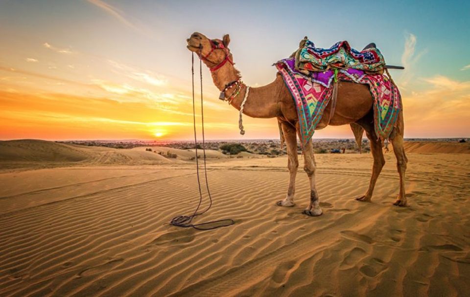 Sharm: Atv, Camel Ride, BBQ Dinner & Show W Private Transfer - Inclusions and Exclusions