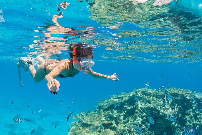 Sharm El Sheikh: Jeep Adventure to Blue Hole, Canyon & Dahab - Recommendations for Participants