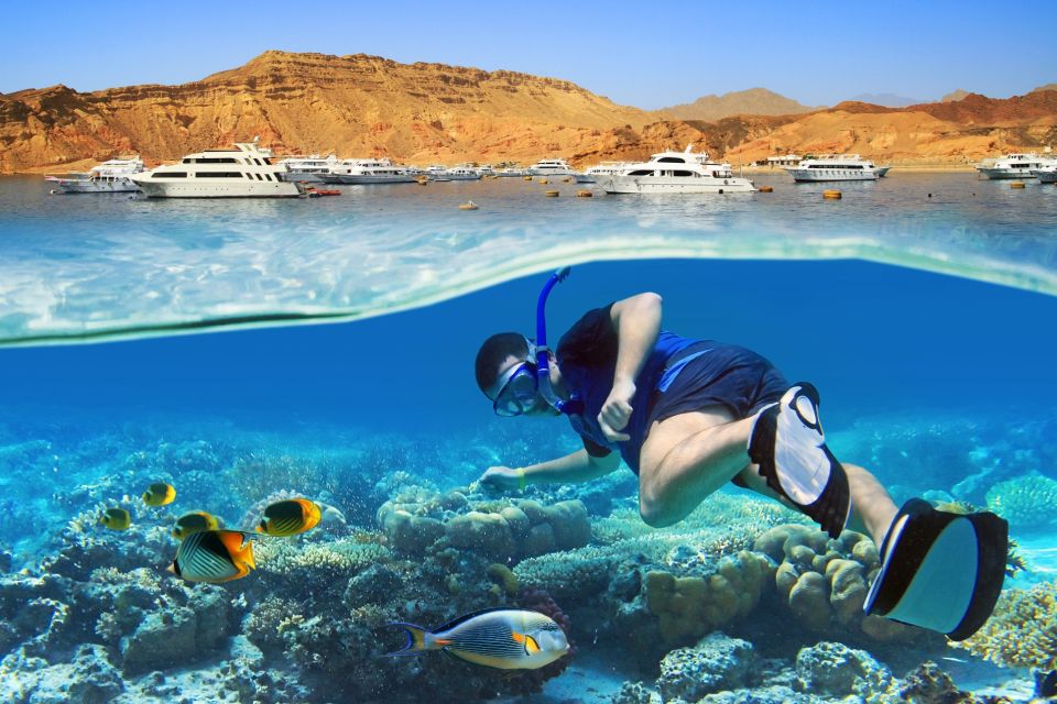 Sharm El Sheikh: Ras Mohamed & White Island Trip With Lunch - Inclusions and Amenities