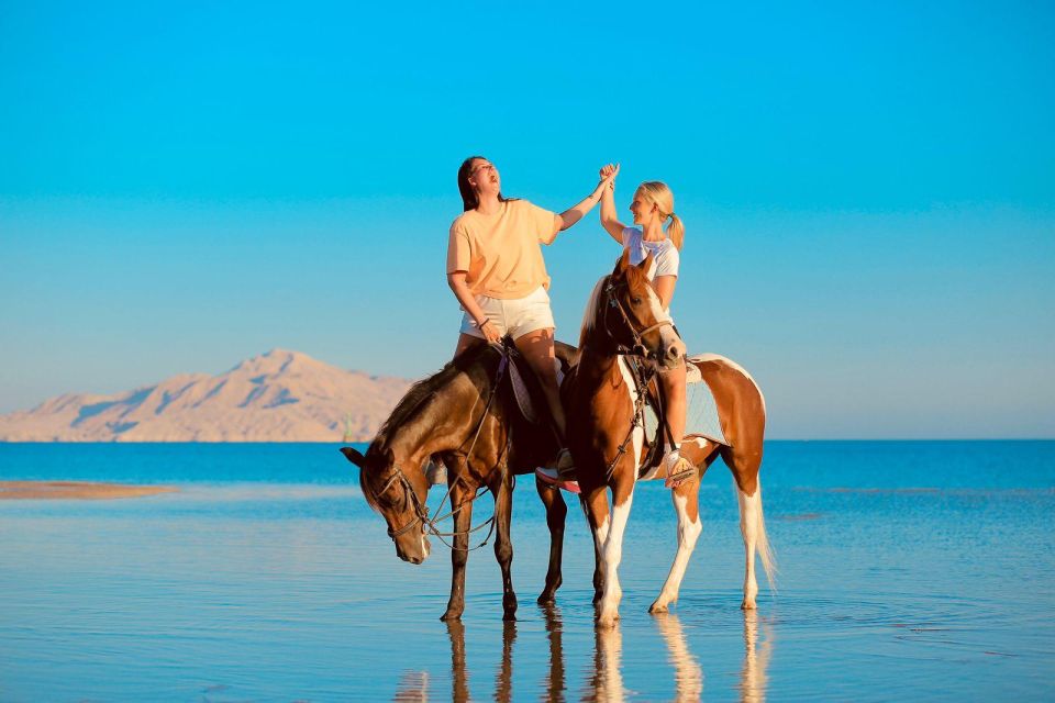 Sharm El Shiekh: Beach and Desert Horse Riding Tour - Inclusions and Exclusions