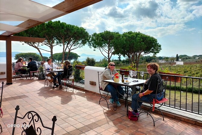 Shore Excursion Naples City Tour, Pompeii & Winery Cantina Del Vesuvio - Cancellation and Refund Policy