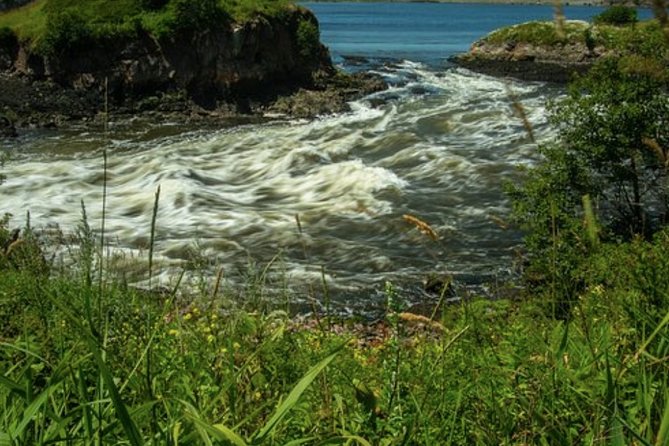 Shore Excursion:Saint John History Walking Tour - Highlights of Saint John