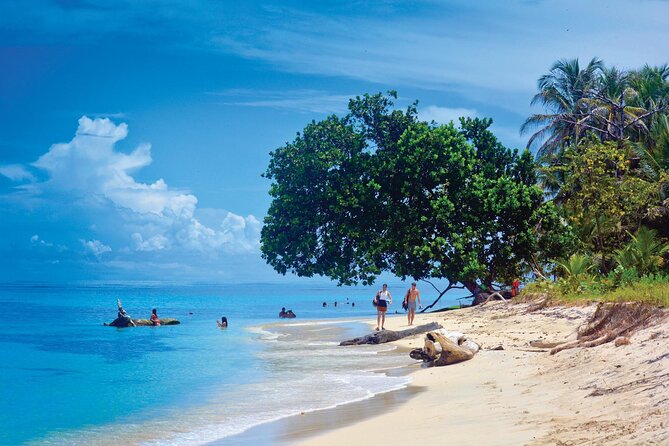 Shuttle Service From San José (Sjo) to Puerto Viejo, Costa Rica. - Transport Reliability