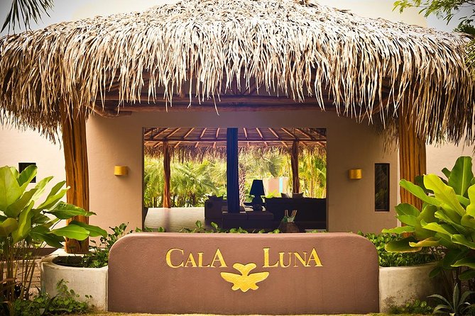 Shuttle To/From Liberia Airport To Tamarindo - Cancellation and Payment Policies