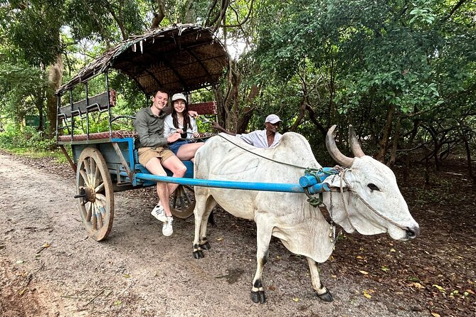 Sigiriya & Dambulla City Tour - Itinerary Highlights
