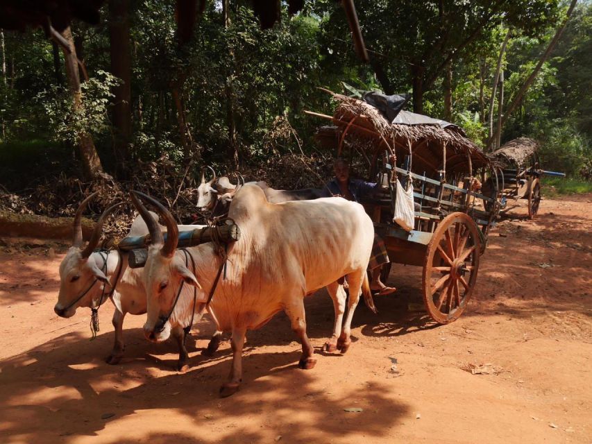 Sigiriya Day Tour | Visit Sigiriya Rock Dambulla Cave Temple - Inclusions and Additional Options