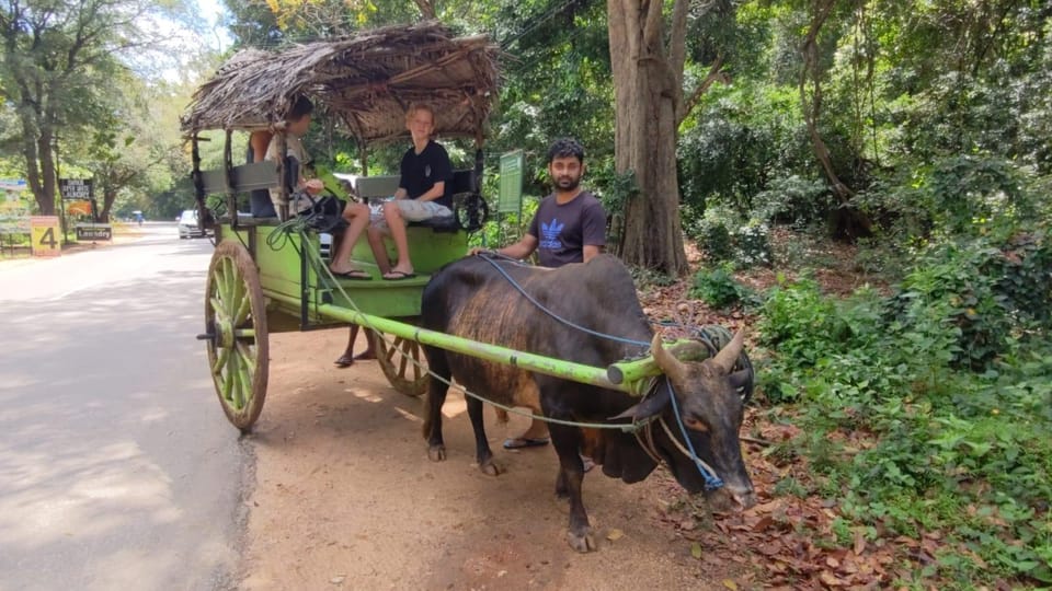 Sigiriya Lions Fortress and Polonnaruwa Day Tour From Kandy - Inclusions and Exclusions